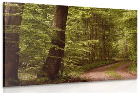 Tablou pădure verde