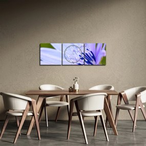 Tablou - Floare (cu ceas) (90x30 cm)