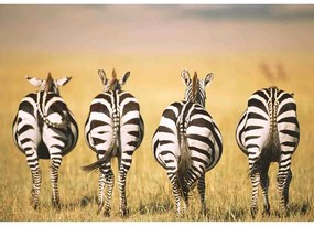 PUZZLE ZEBRE IN SAVANA, 300 PIESE - RAVENSBURGER (RVSPA13312)
