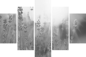 Tablou - Lavanda (150x105 cm)