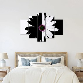 Tablou - Floare, alb- negru (150x105 cm)
