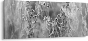 Tablou - Pajiște sălbatică (120x50 cm)