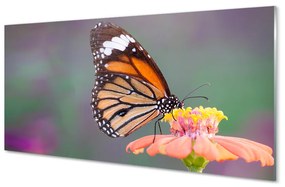 Tablouri acrilice floare fluture colorat