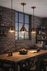 Brilagi - Lustră LED RIDDY pe cablu, 1xE27/60W/230V, cupru/patină