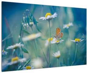 Tablou - Fluture pe margaretă (90x60 cm)