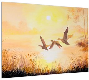 Tablou - Macarale la apus de soare (70x50 cm)