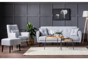 Set Canapea Extensibilă si Fotoliu Aria - S, Gri