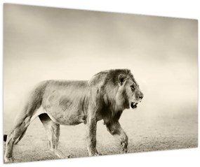 Tablou - Leul flămând (90x60 cm)