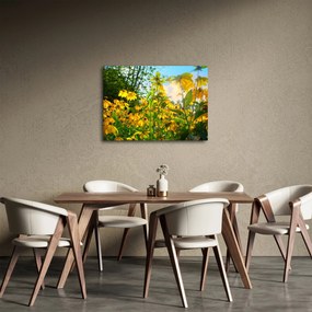 Tablou - Flori galbene (70x50 cm)