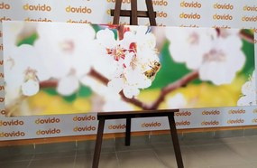 Tablou flori în pom primăvara