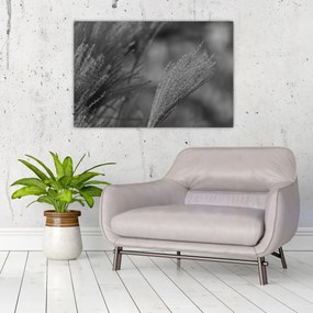 Tablou - Iarbă de pampas uscată (90x60 cm)