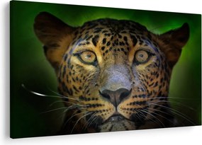 Tablou - Portretul leoparduslui, Sri Lanka (90x60 cm)