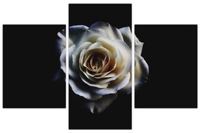 Tablou cu trandafir alb (90x60 cm)