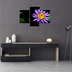 Tablou cu floare (90x60 cm)