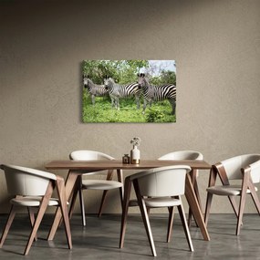 Tablou cu zebre (90x60 cm)