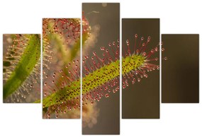 Tablou cu plantă (150x105 cm)