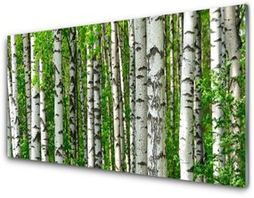 Tablouri acrilice Natural Pădurea Neagră Alb Verde
