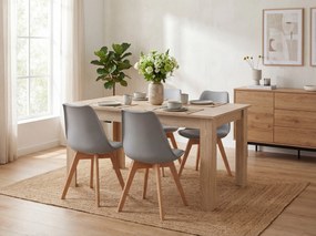 Set de dining 1 + 4, masa UMEKO 120x80 cm stejar sonoma + scaun gri KITO