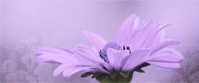 Tablou - Flori mov (120x50 cm)