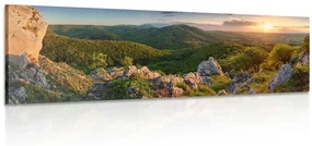 Tablou natura scufundată în soare