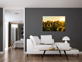 Tablou cu lan de floarea soarelui (90x60 cm)