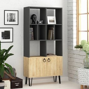 Biblioteca Bene, Antracit / Stejar