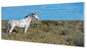 Tablouri acrilice Unicorn Golf
