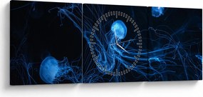 Tablou - Meduză (cu ceas) (90x30 cm)