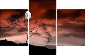 Tablou - Luna luminează noaptea (90x60 cm)