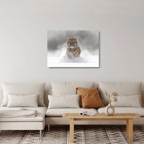 Tablou pe sticlă cutigru fugind prin zăpadă (70x50 cm)