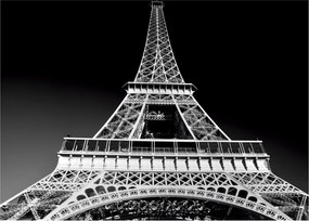 Tablou - Turnul Eiffel, alb-negru (70x50 cm)