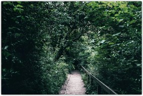 Tablou - Drumul prin pădure (90x60 cm)