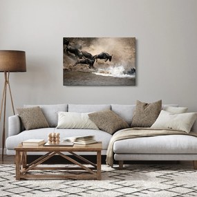 Tablou - Turmă de gnu (90x60 cm)