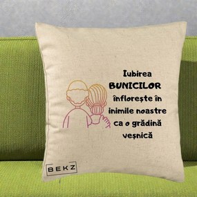 Cadou pentru Bunici - Perna Personalizata Iubirea Bunicilor Infloreste Cuplu Line Art Gradient, 40x40 cm, Bej, Husa Detasabila, Perna Inclusa, BEKZ®