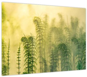 Tablou - Detaliu de primăvară natura cețoasă (70x50 cm)