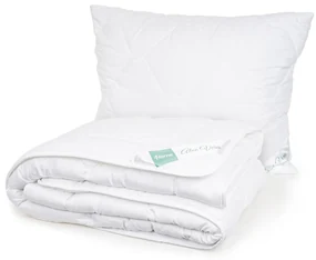 Set pilotă și pernă 4Home Aloe Premium , 140 x220 cm, 70 x 90 cm, 140 x 220 cm, 70 x 90 cm
