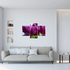 Tablou cu lalele (90x60 cm)