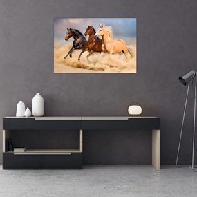 Tablou - Cai sălbatici (90x60 cm)