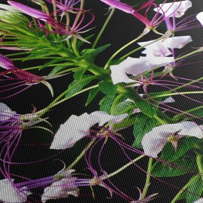 Tablou cu floare (70x50 cm)