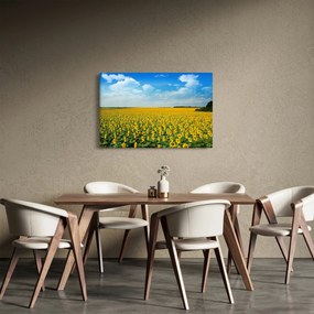 Tablou - câmp cu floarea soarelui (90x60 cm)