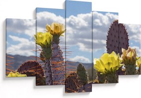 Tablou cu floarea de cactus Opunție (150x105 cm)