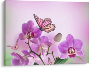 Tablou - Fluture pe flori de orhidee, liliac (70x50 cm)