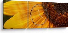 Tablou - Floarea-soarelui (cu ceas) (90x30 cm)