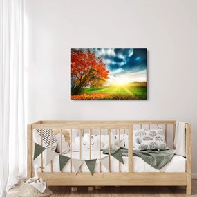 Tablou peisaj cu scufundat în razele solare (90x60 cm)