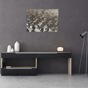 Tablou - Turmă de antilope sălbatice (70x50 cm)