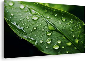 Tablou - Frunză după ploaie (90x60 cm)
