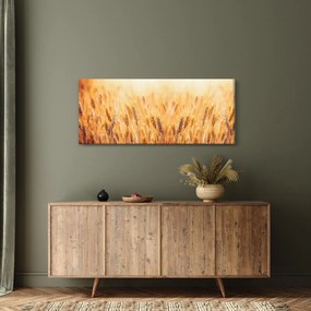 Tablou - câmp cu grâne (120x50 cm)