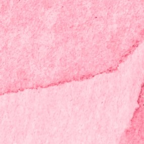 Fototapet, Petals, Magenta, Rebel Walls