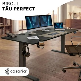 Birou de birou reglabil pe înălțime FLEXI, 160x75x72–117cm, negru Casaria
