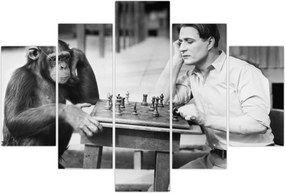 Tablou - Circ 2 (150x105 cm)